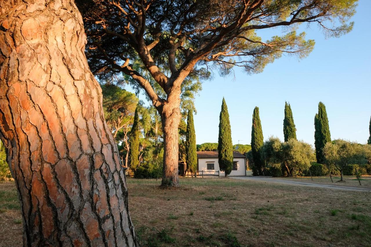 غروسيتو Residence La Canova II المظهر الخارجي الصورة