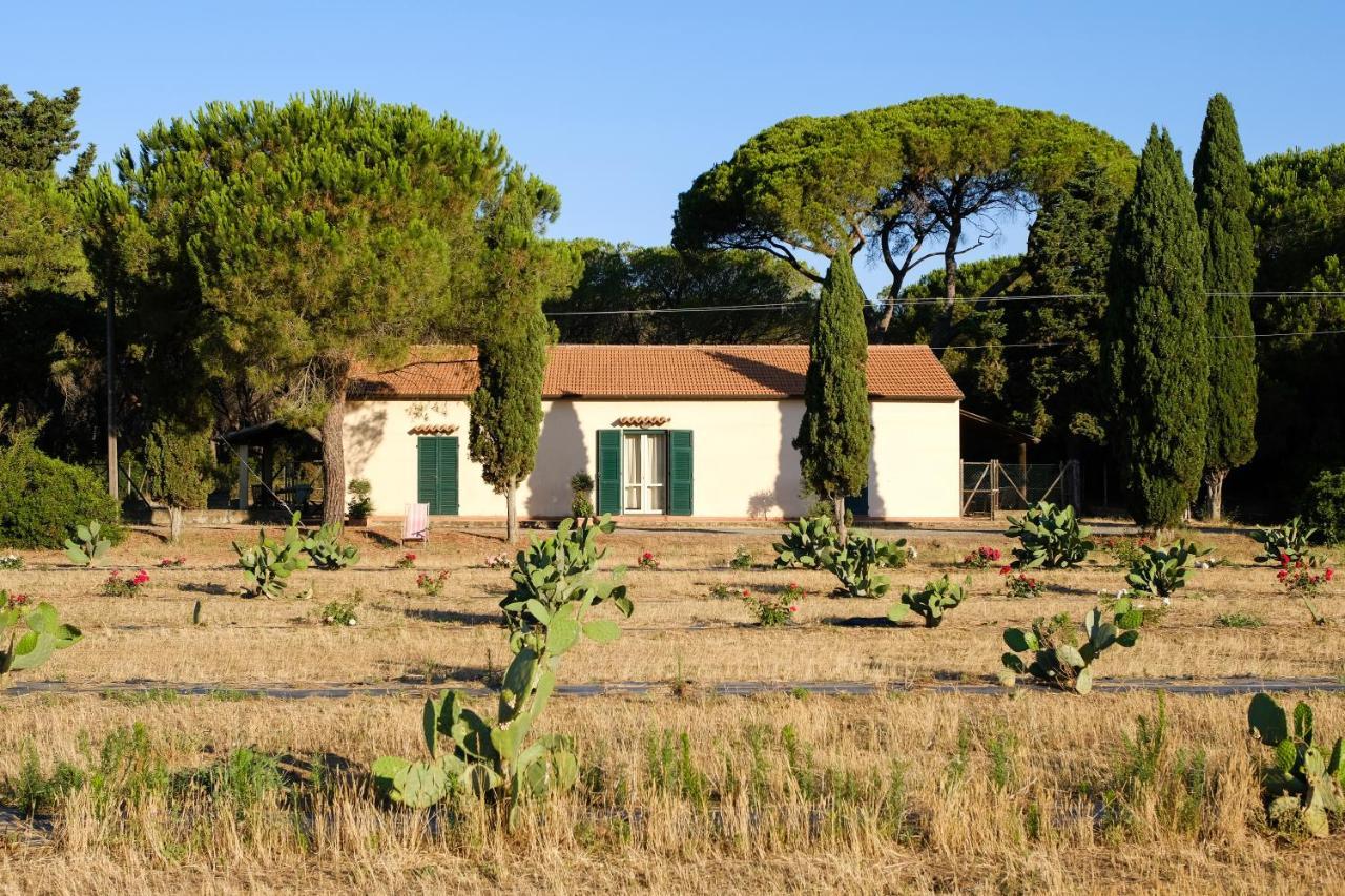 غروسيتو Residence La Canova II المظهر الخارجي الصورة