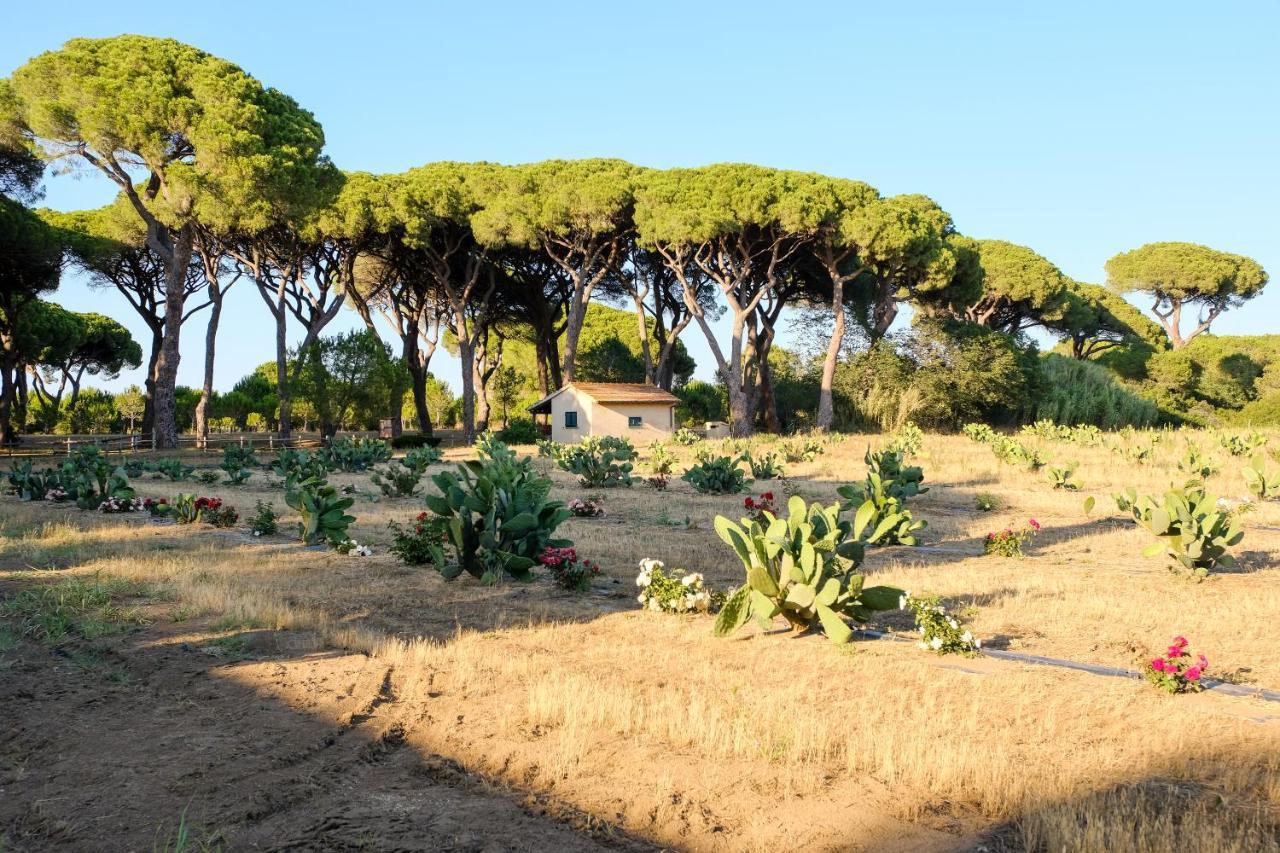 غروسيتو Residence La Canova II المظهر الخارجي الصورة