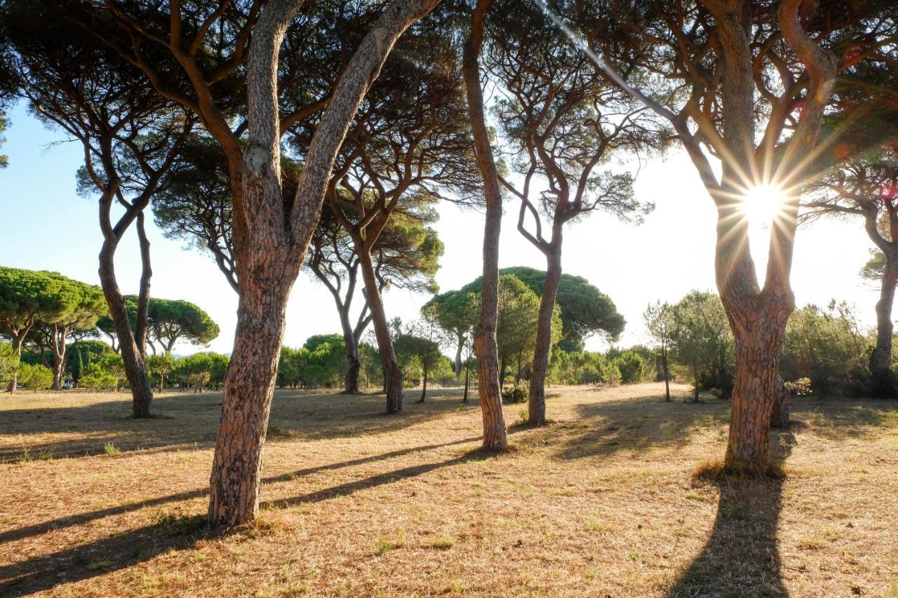 غروسيتو Residence La Canova II المظهر الخارجي الصورة