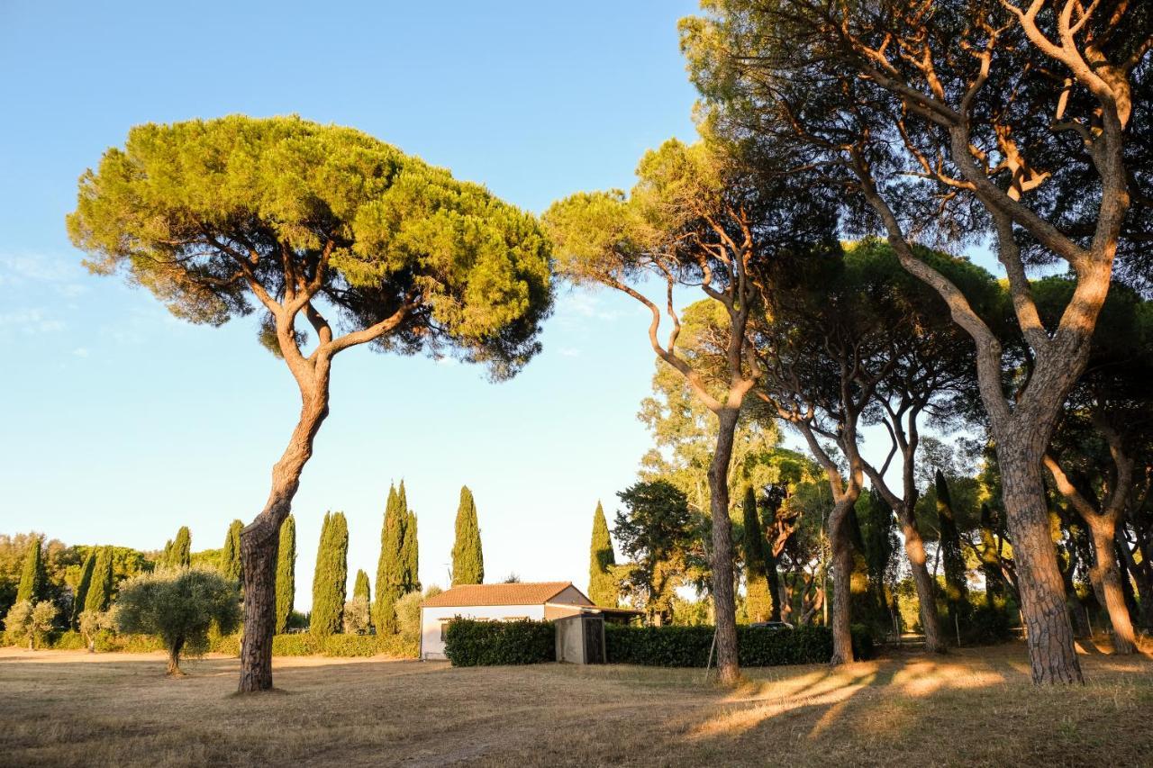 غروسيتو Residence La Canova II المظهر الخارجي الصورة
