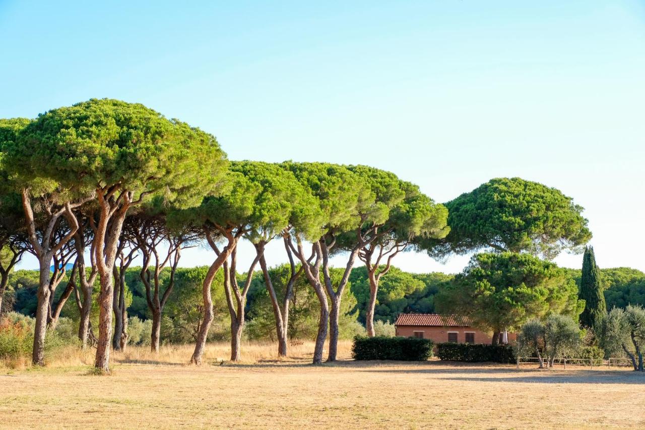 غروسيتو Residence La Canova II المظهر الخارجي الصورة