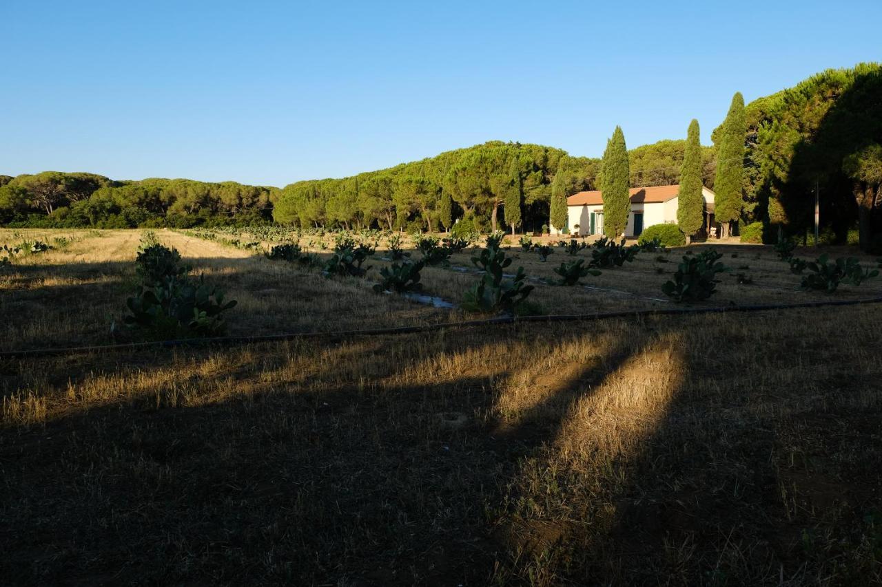 غروسيتو Residence La Canova II المظهر الخارجي الصورة