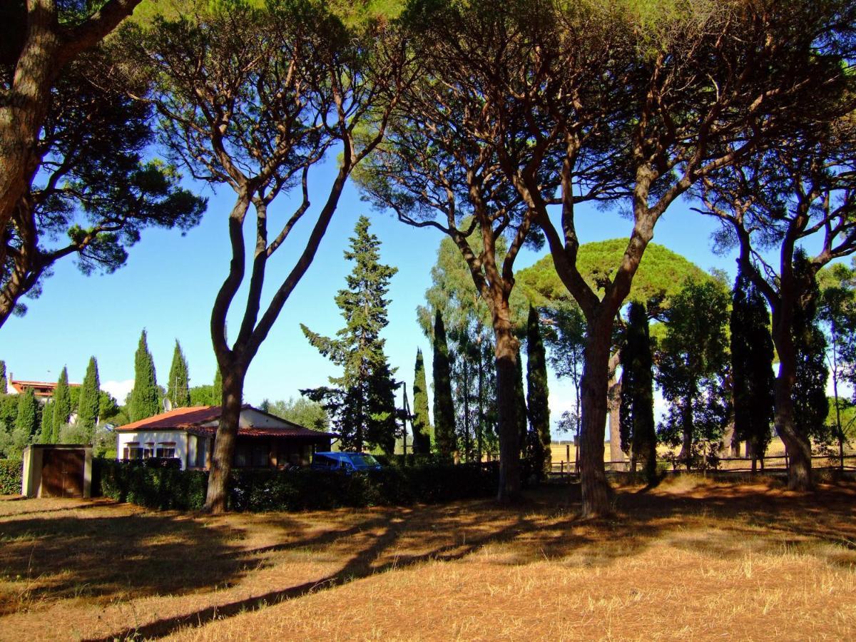 غروسيتو Residence La Canova II المظهر الخارجي الصورة